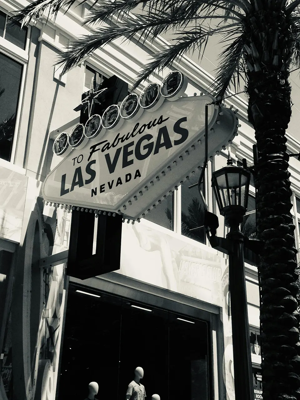 Fabulous Las Vegas sign with palm tree and storefront, representing the vibrant culinary scene supported by Standard Restaurant Supply in Las Vegas.